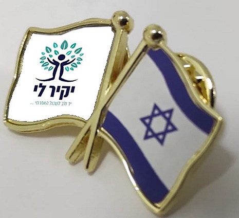 סיכות דש דגלים