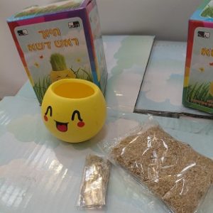 מתנה לט"ו בשבט